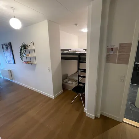 Modern With Rooftop, Privat Balcony, & Free Parking,next To Attractions * Århus